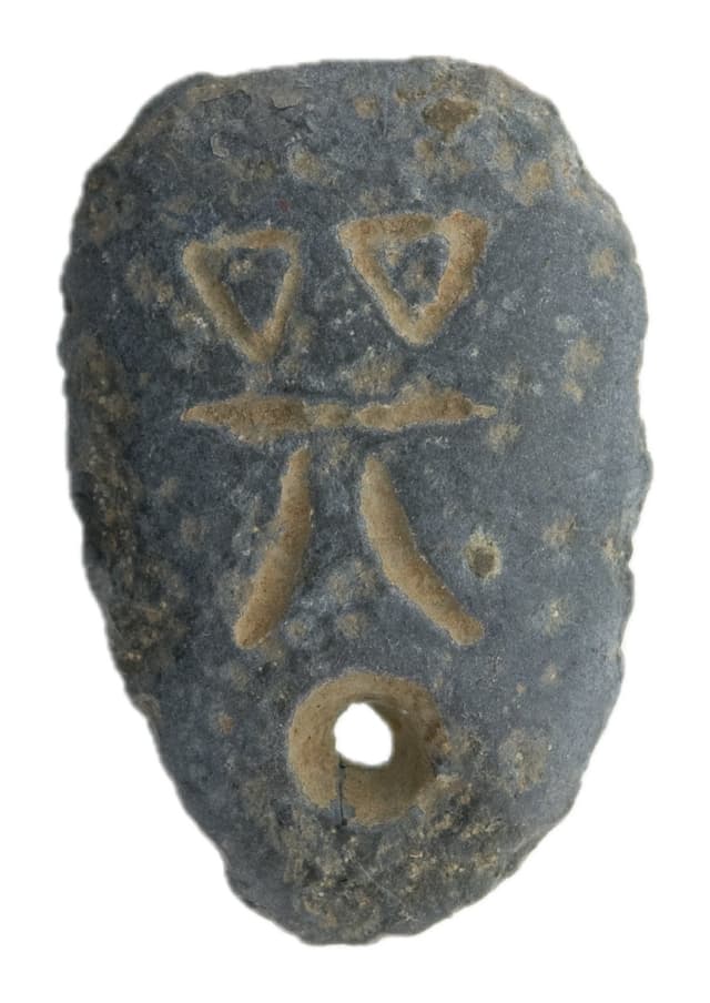 Ant-nose Coin