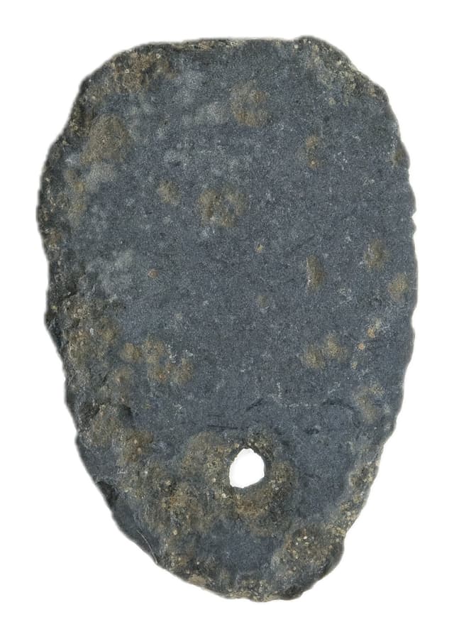 Ant-nose Coin