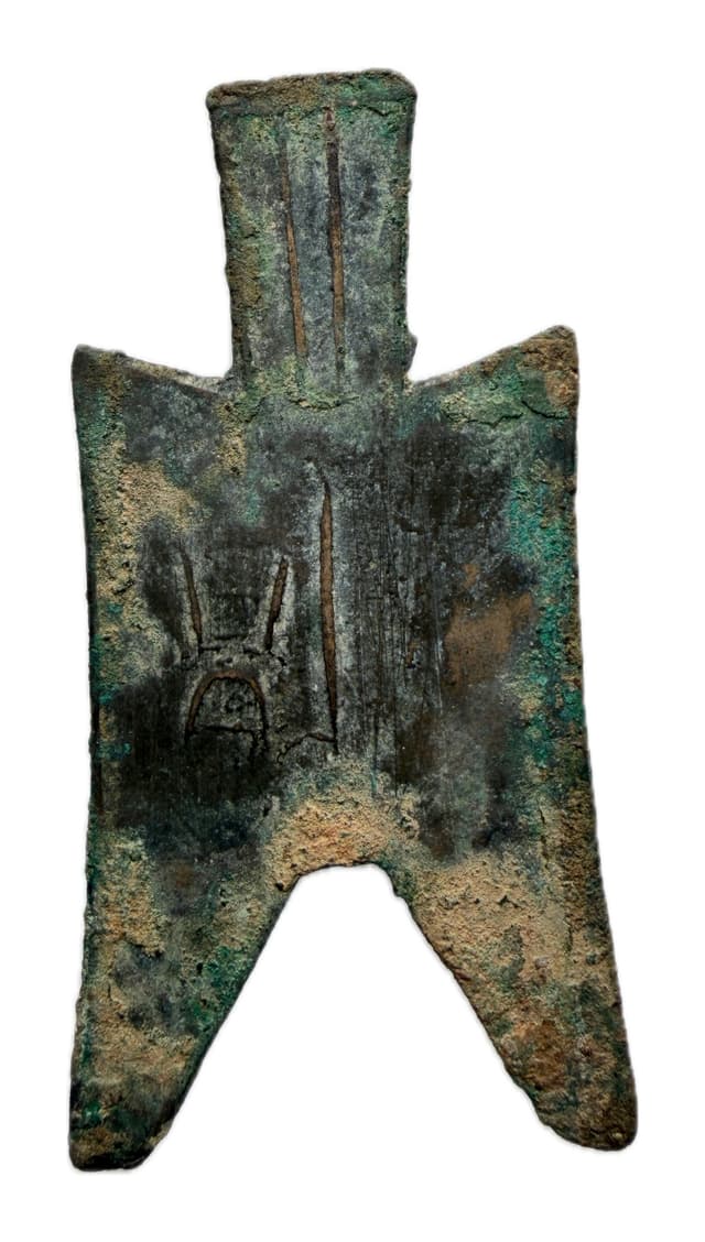 Large Pointed-foot Spade
