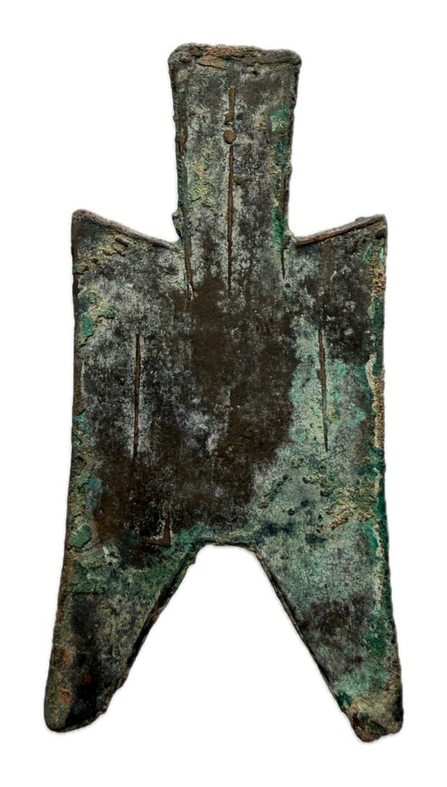 Large Pointed-foot Spade